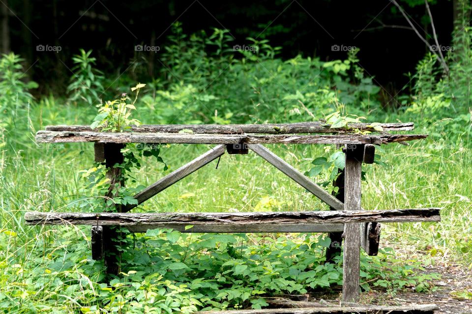 abandoned​ park bench