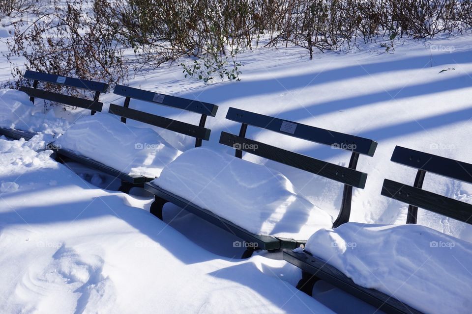 Empty benches covered with snow
