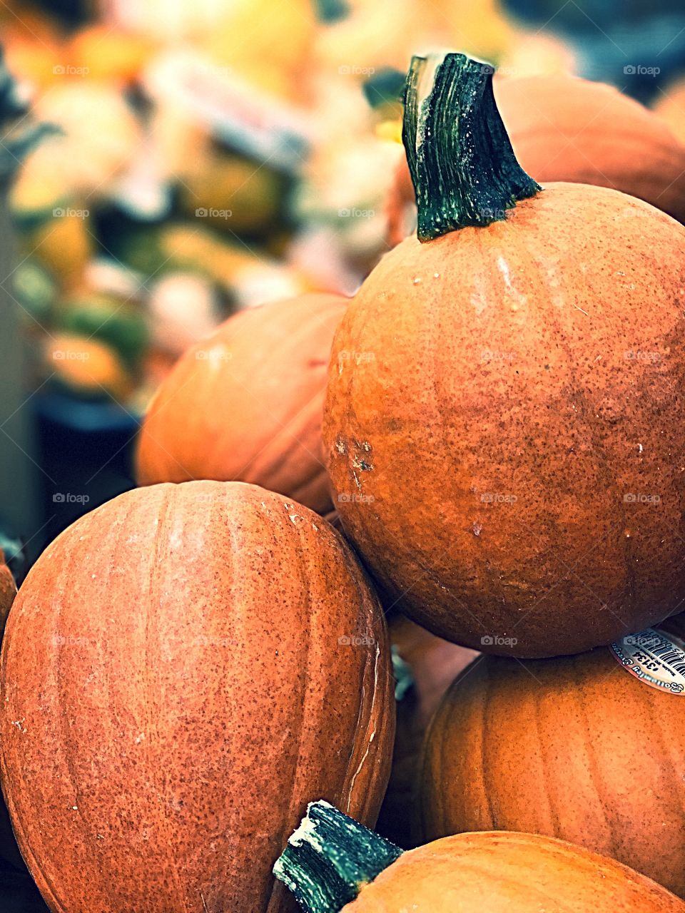 #Pumpkin  #halloween #orange #spice