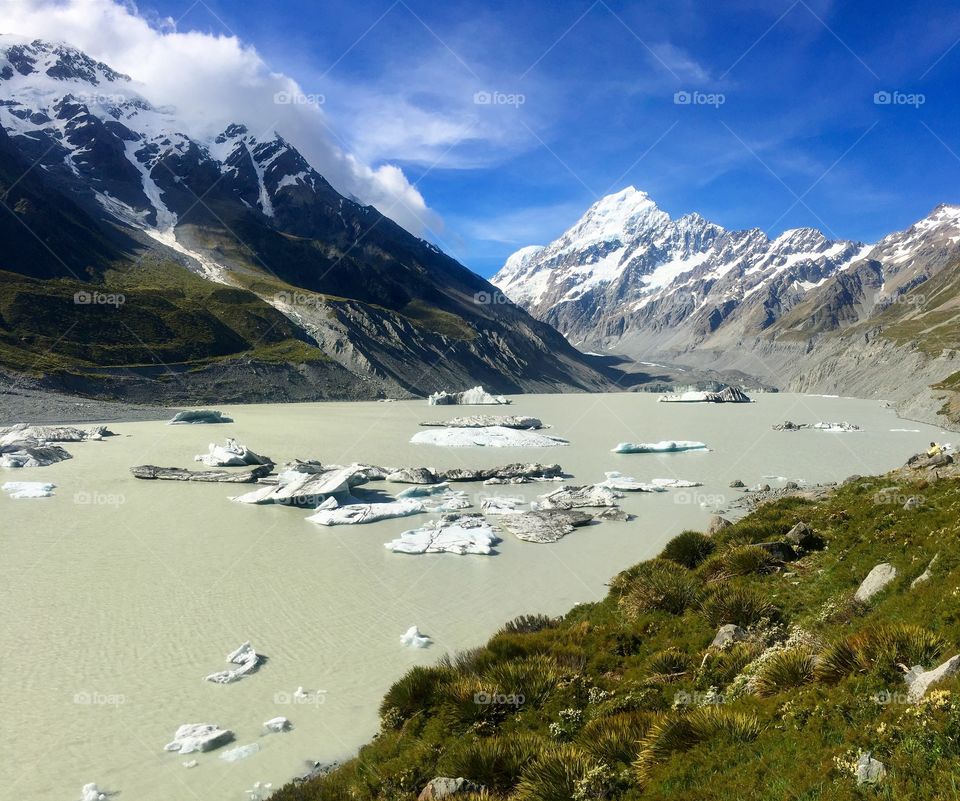 Icebergs floating in the mount cook lakes