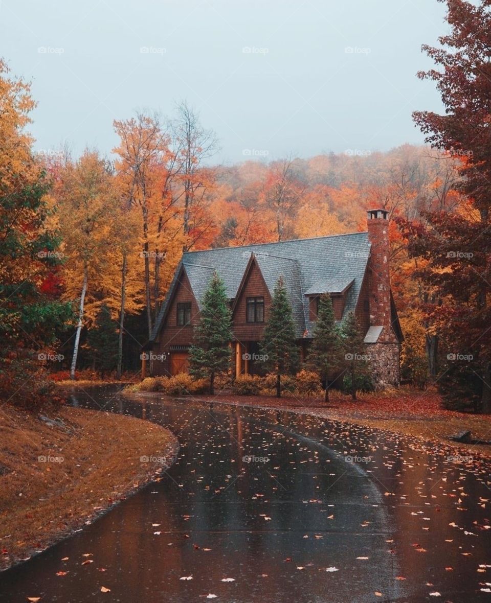 Autumn beauty in a photo