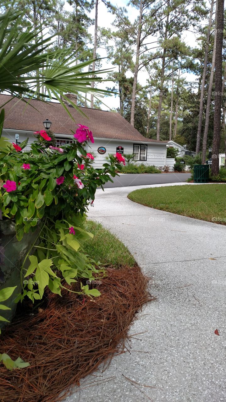 Garden Path
Flowers and path at Pawley's Island 
Hammock Shops