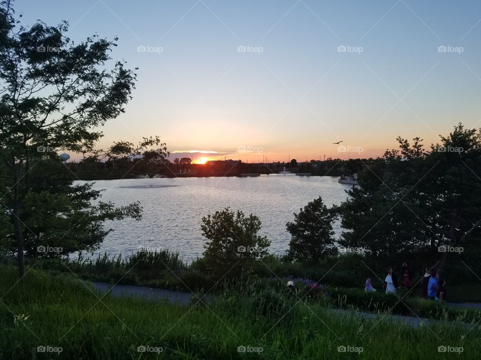 Landscape, Tree, Water, Lake, Nature