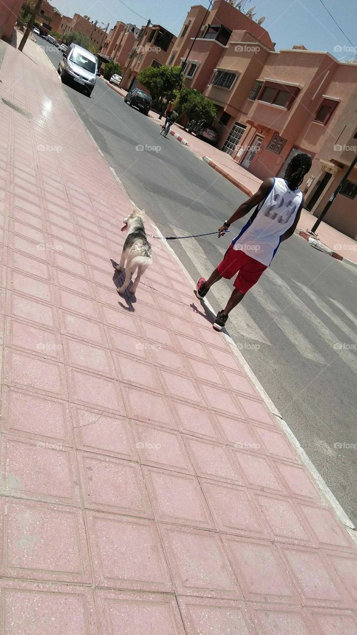 walk with dog