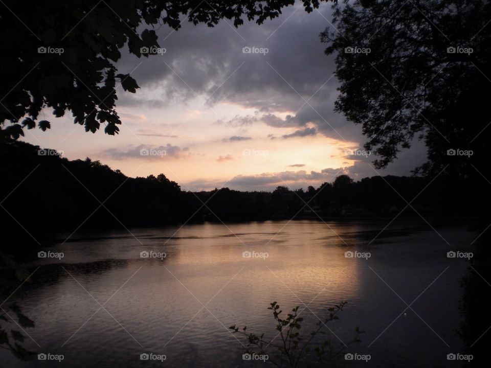 At Newmillerdam