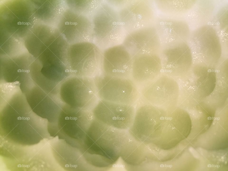 Honeydew Detail