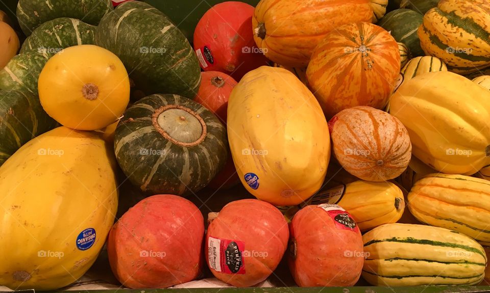 Variety of pumpkins in market for sale