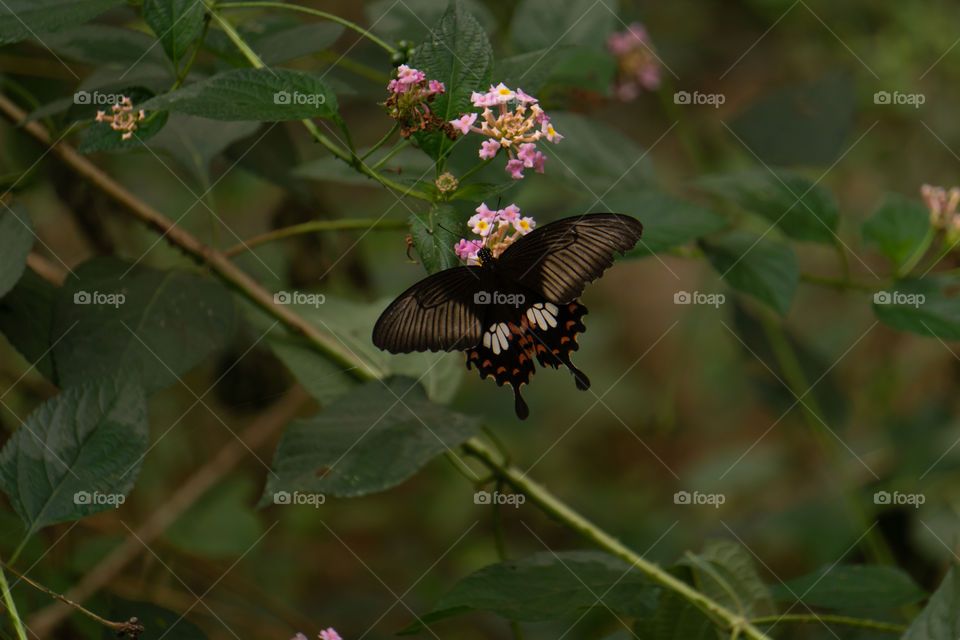 Nature is so beautifull capture it because every moment nature is changed