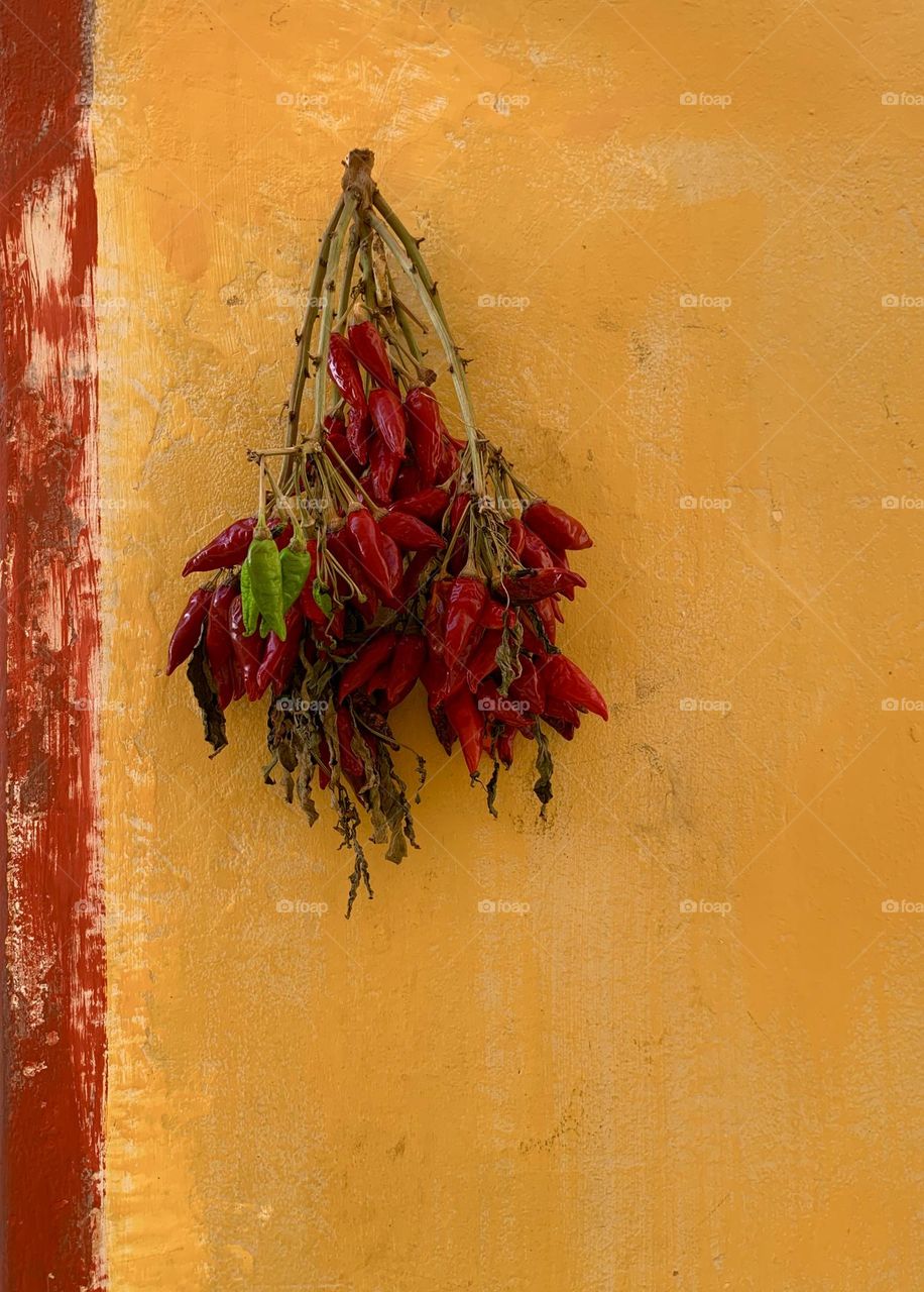 Red Hot Chili Peppers drying on yellow painted wall 