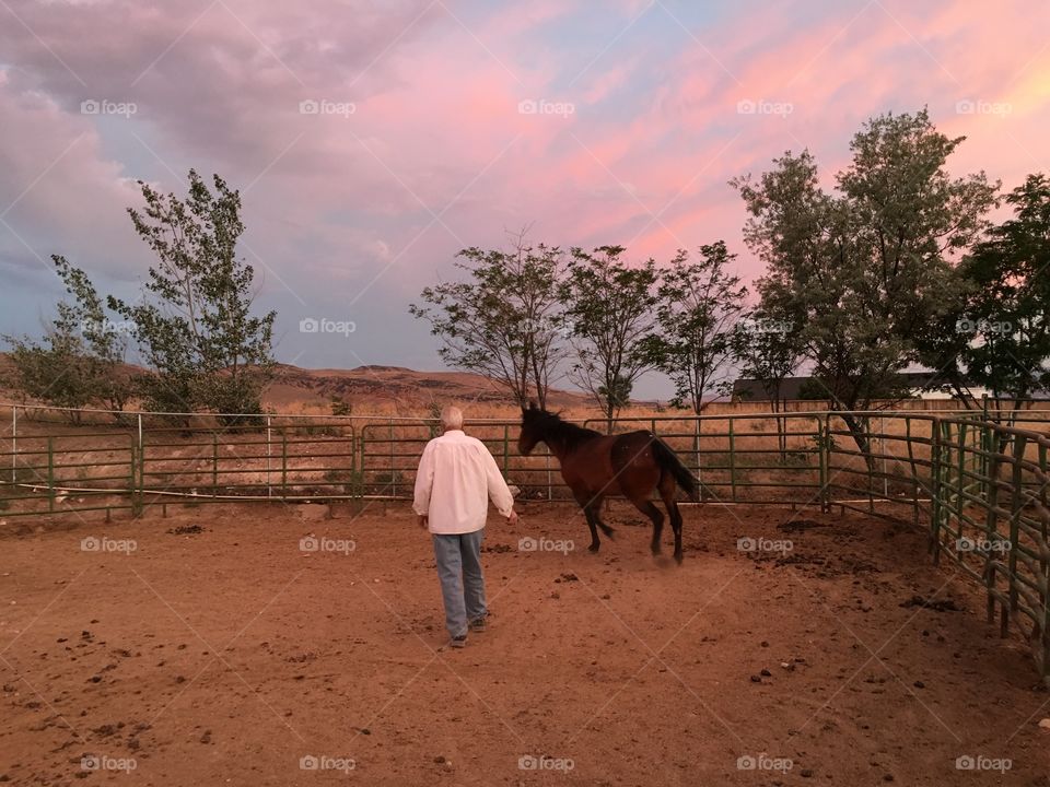 Palermo horse and trainer in corral, Nevada at dusk