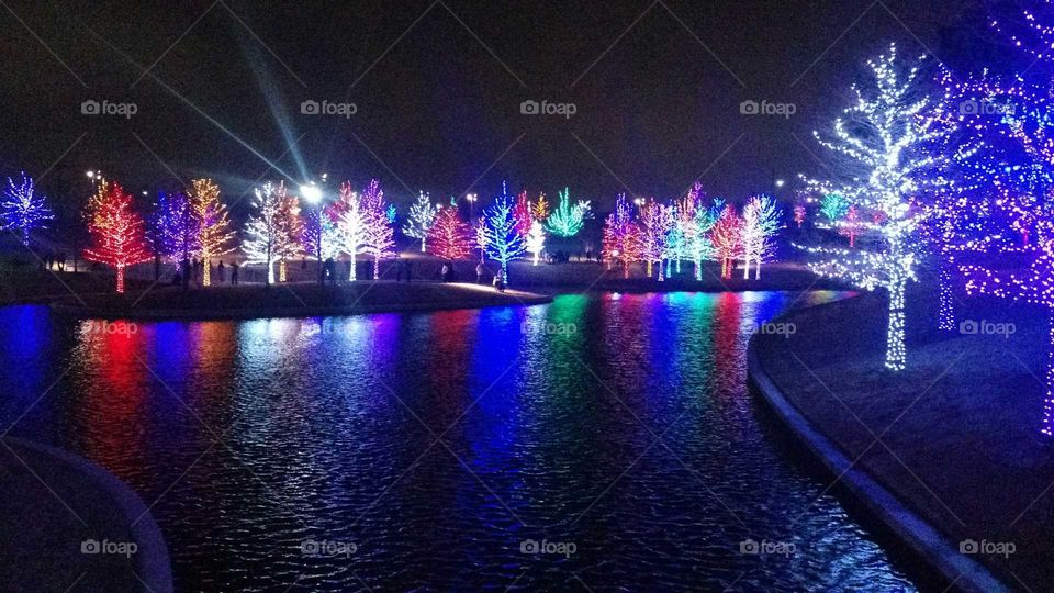 Christmas tree lights