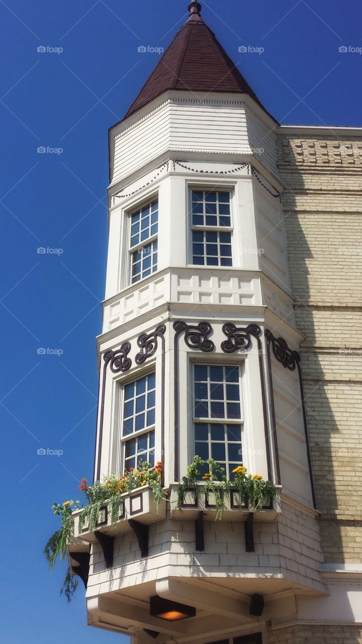 Architecture. Cupola