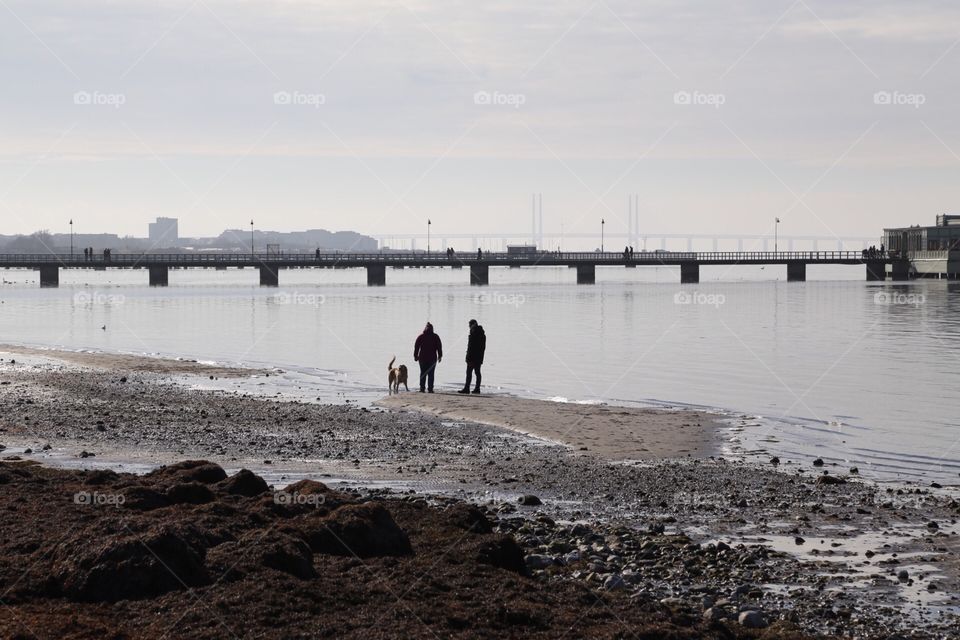 A day at the beach.