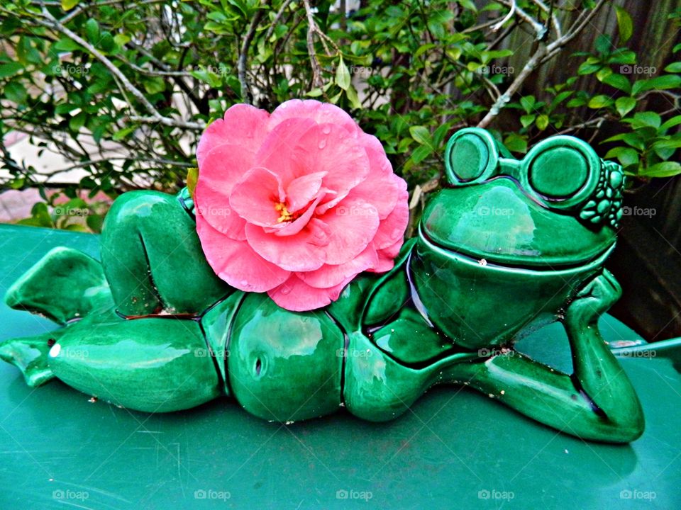 Poolside ceramic green frog holding a flower