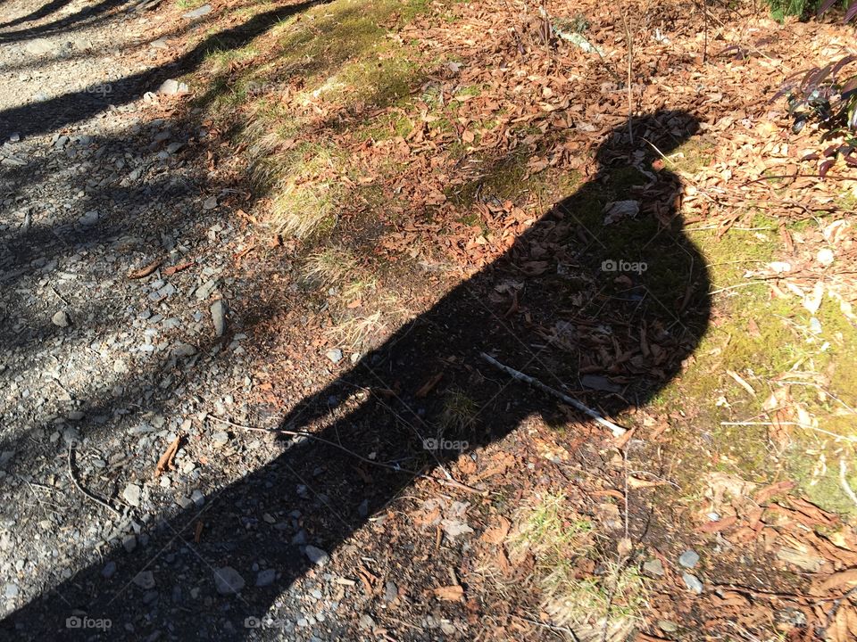 Shadow Hiker