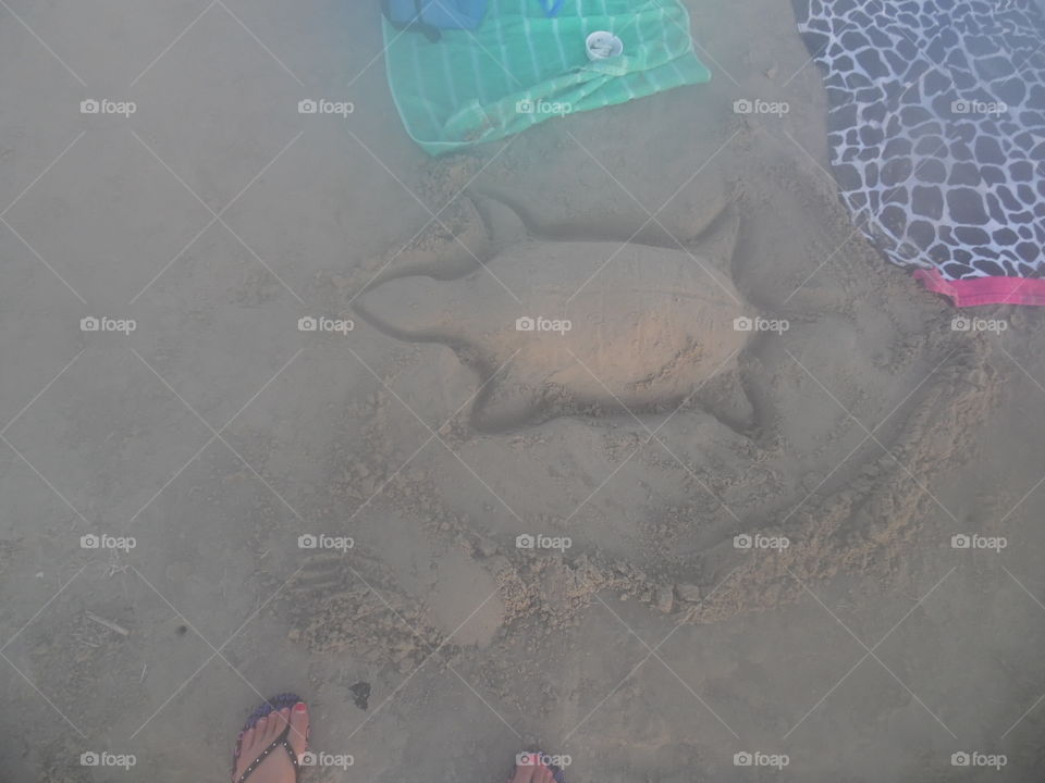 beach critter. This is a vacation photo that I took while visiting the Gulf of Mexico near port Aransas Texas. 👣 🚶 🏃 🔥 💨