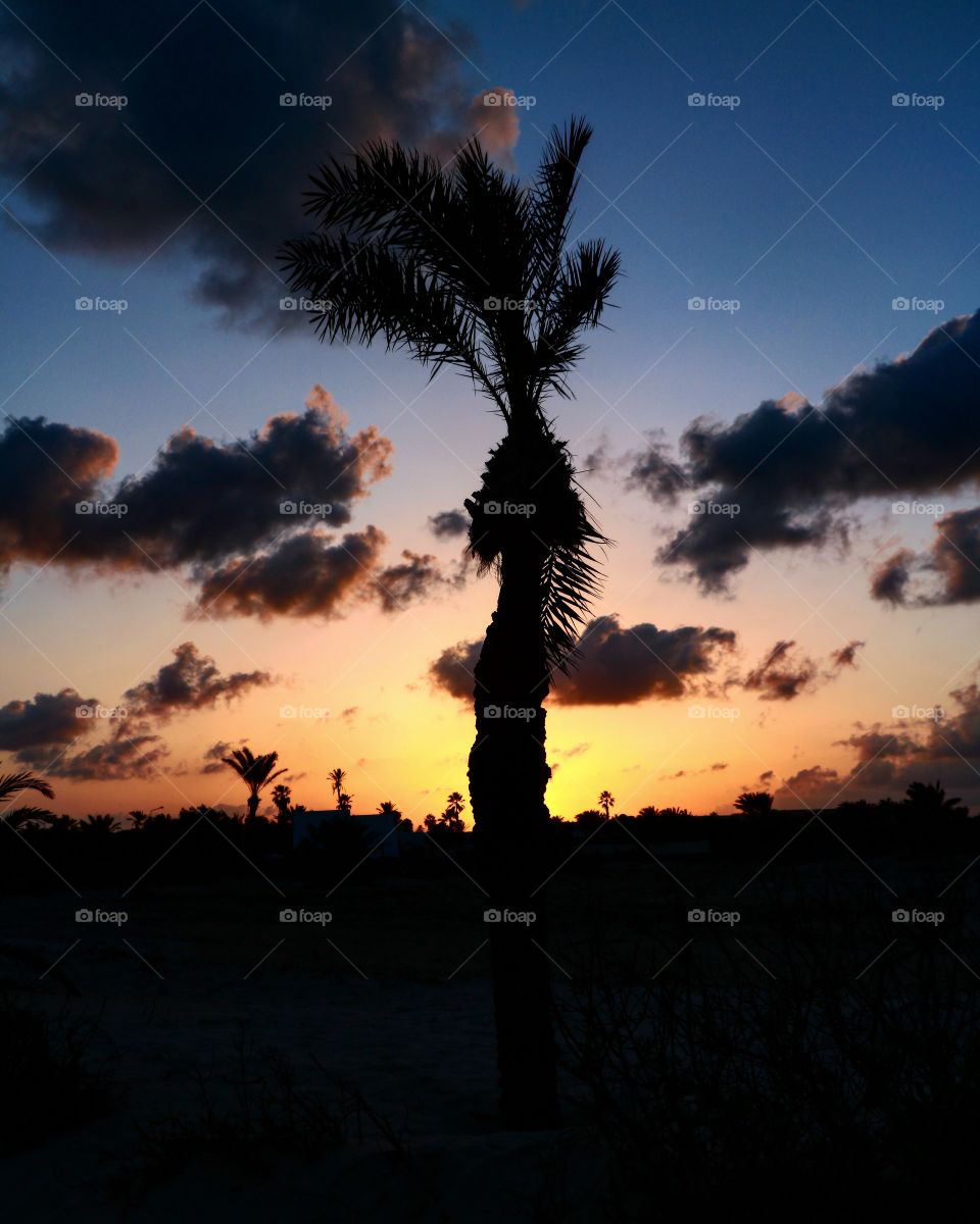 A sunset in Djerba