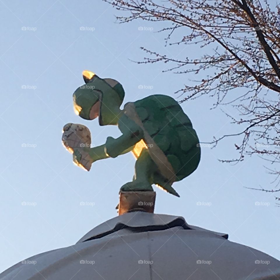 Turtle on top of the turtle twist cone in canonsburg, pa