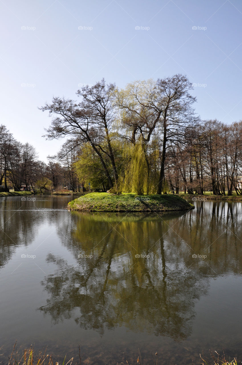 Spring in the park 