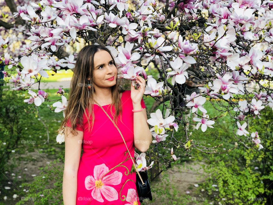 Young woman in pink dress surrounded by pink magnolia flowers blooming in the tree