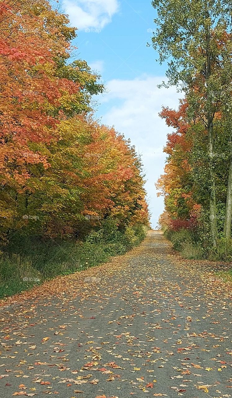 roads where nobody goes.