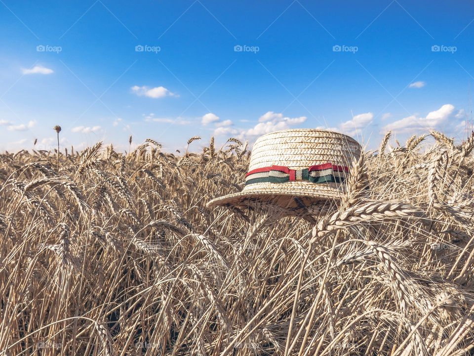 straw hat in a wheat field