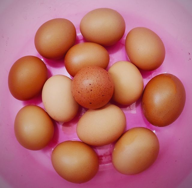 egg flower