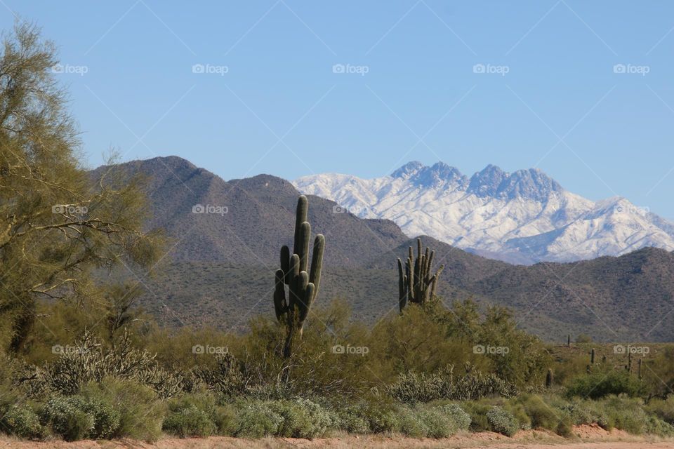 Snowy Mountains in Arizona Desert