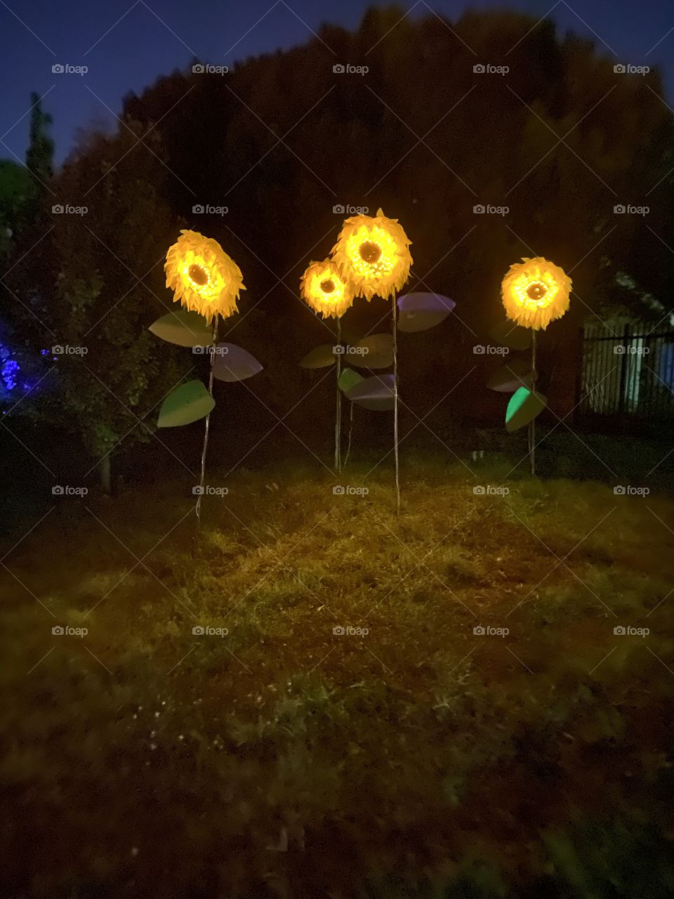 Electric flowers illuminated at night.