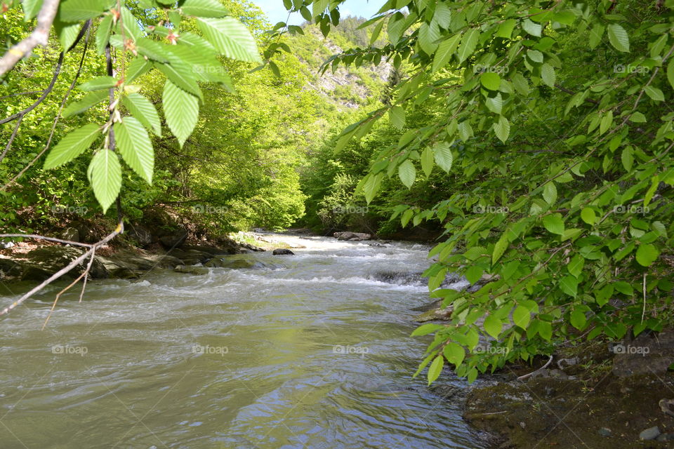 Tedzami river