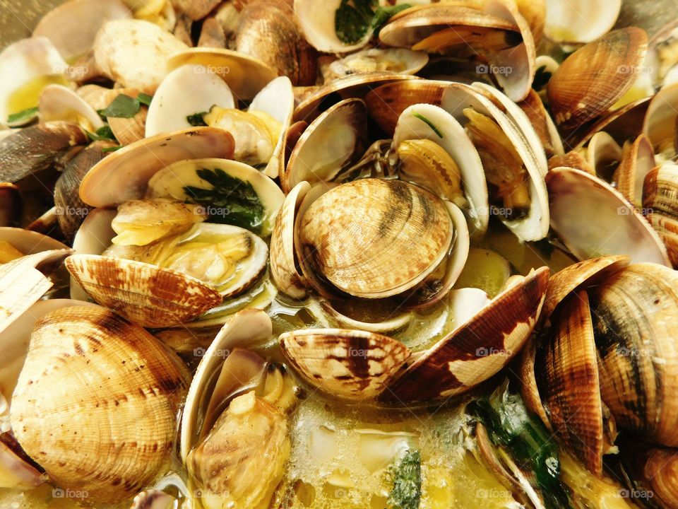 clams