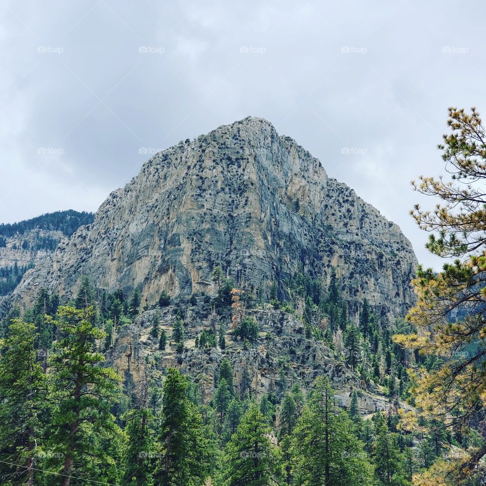 Reach for your goals