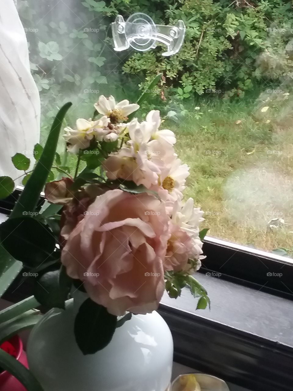 roses are pink, and so are you!
