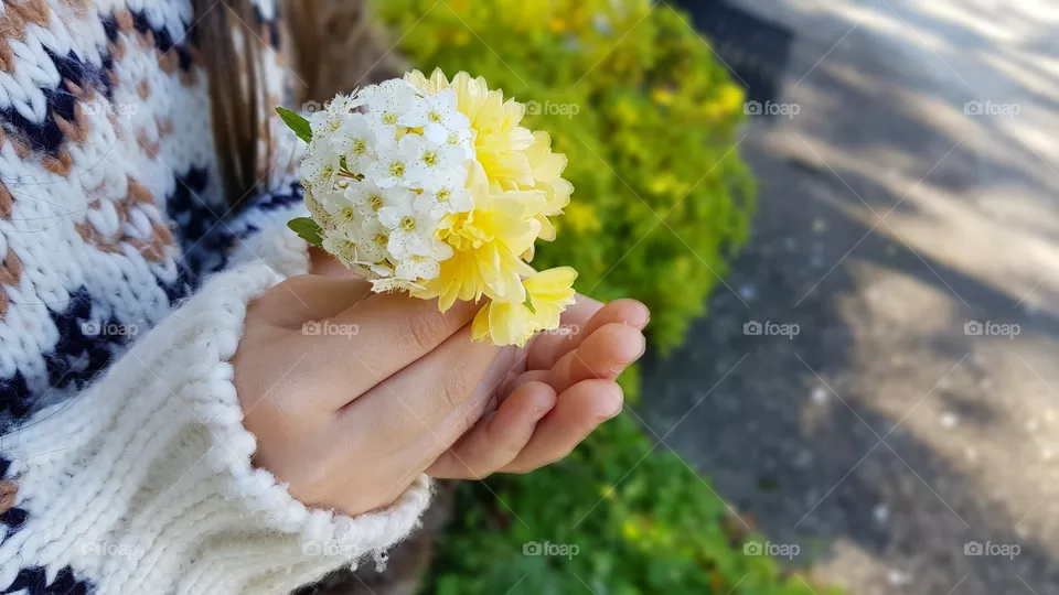 flowers