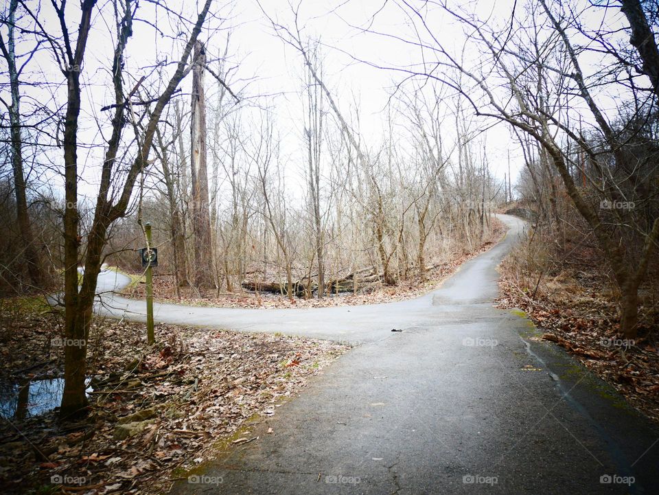 A fork in the road. You can take the easy path, or the difficult one. 
