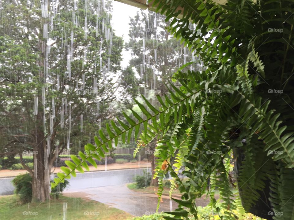 Afternoon rain shower. Afternoon rain shower