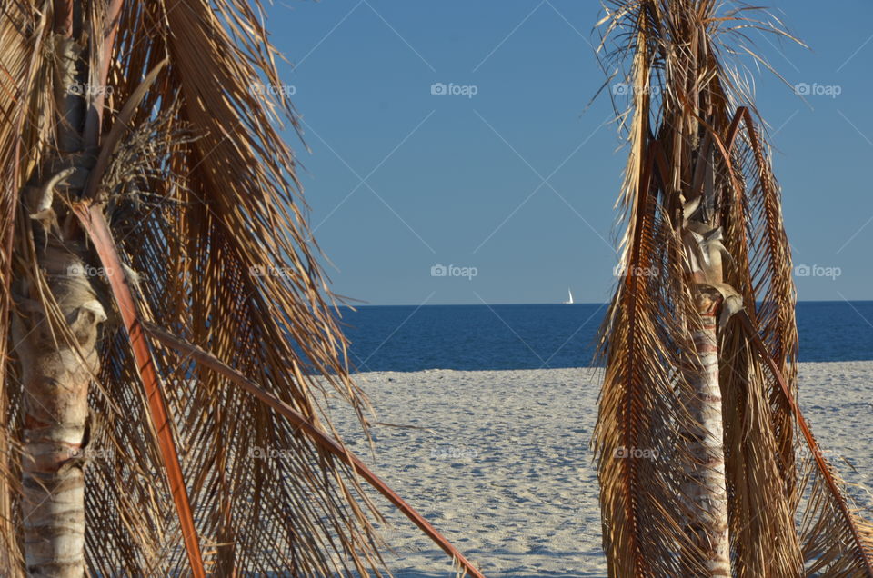 Sunday's walk  on the beach