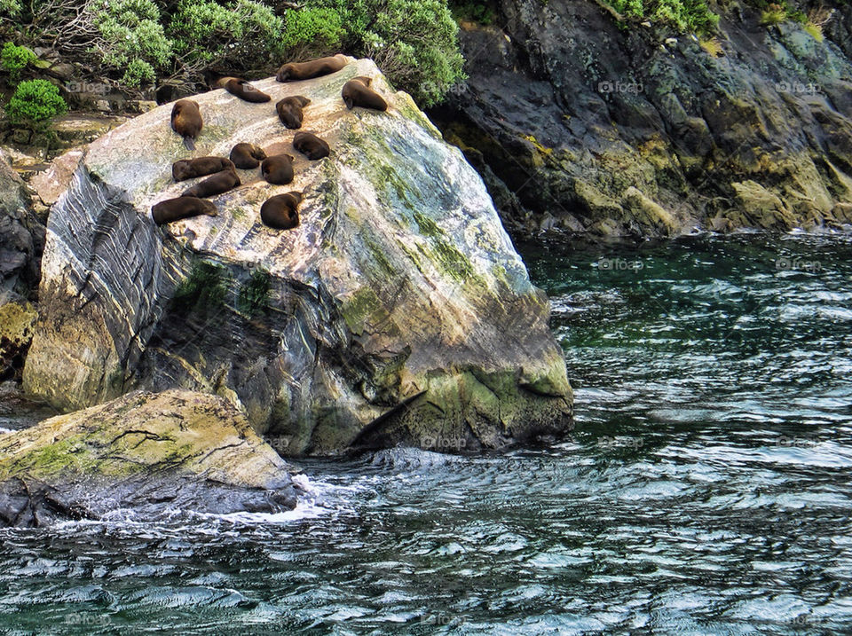 river new rocks zealand by chris7ben