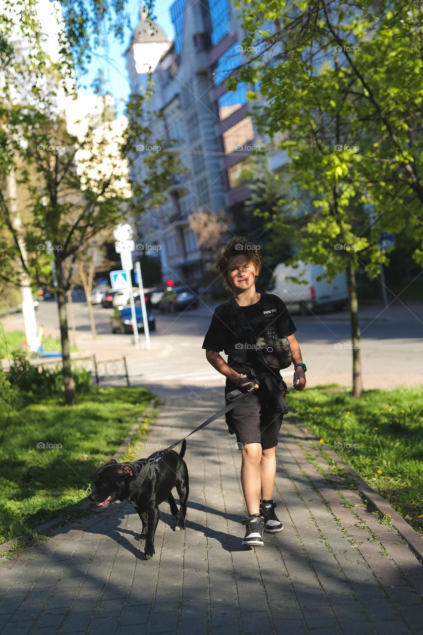 walking the dog down the street, the owner walks the weakling, teaches her, cleans up after her, educates, plays with his pet. people and dogs are best friends