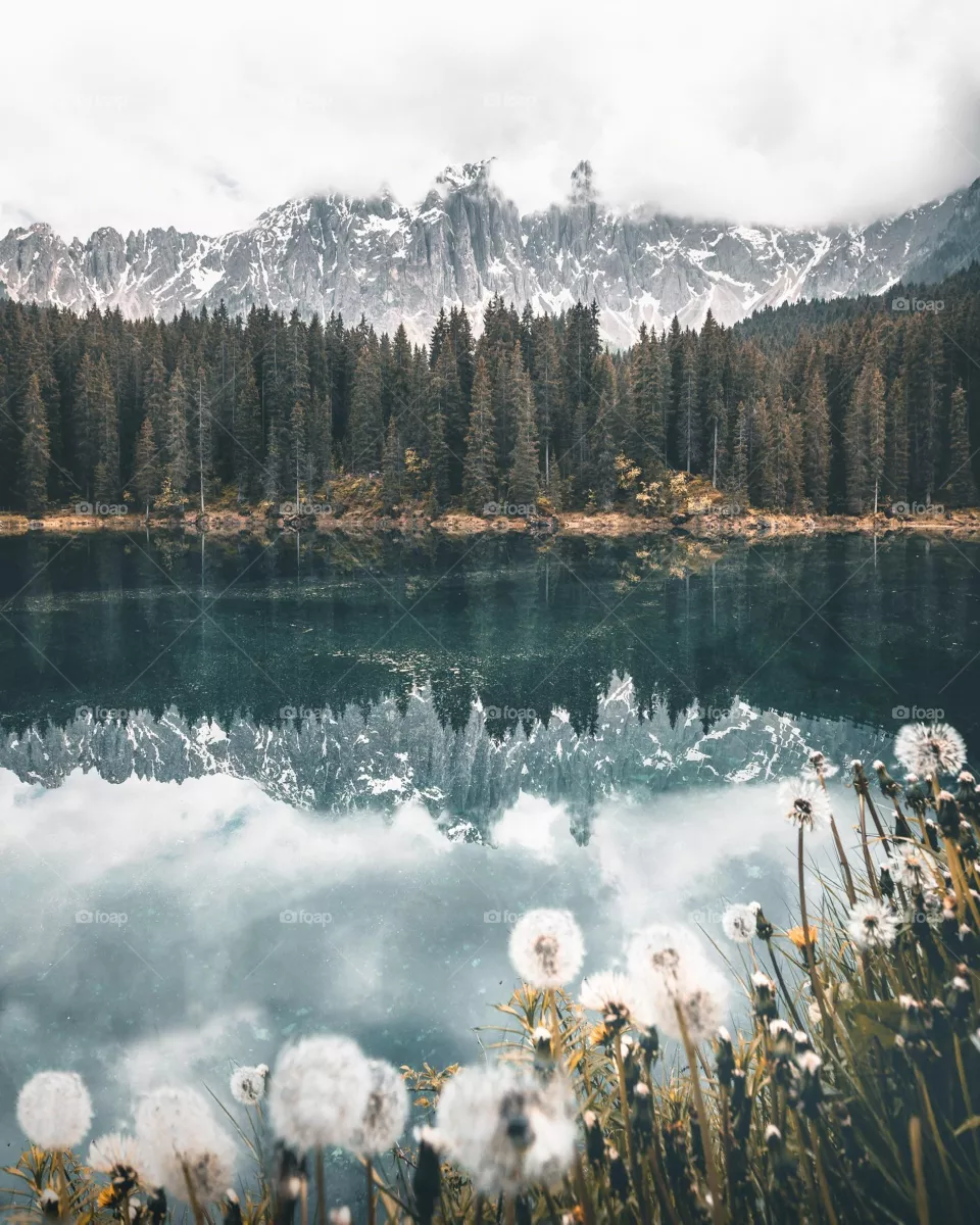 snowy mountain reflected in still lake