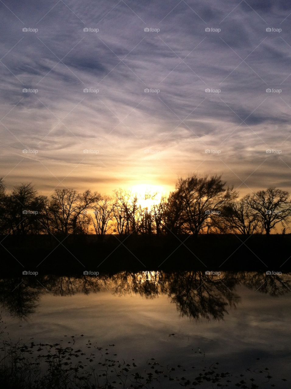 Sunset Behind The Trees