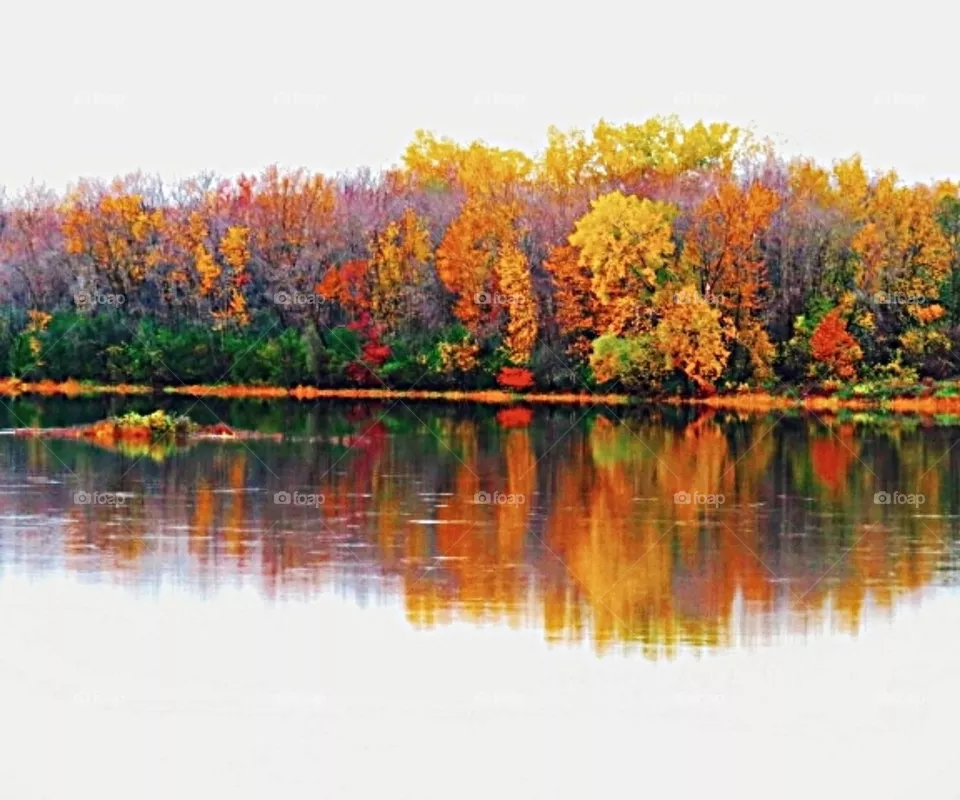 Autumn morning