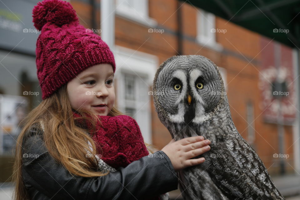 Loving owl