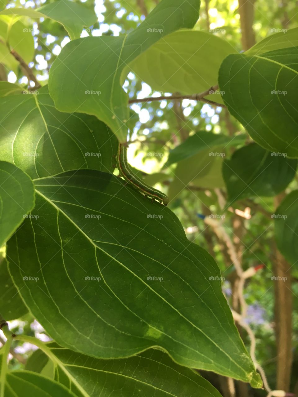 Change is on the way