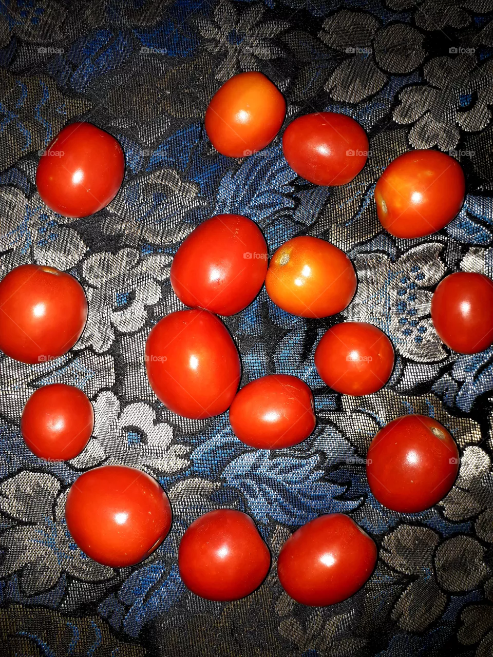 Art of Tomato