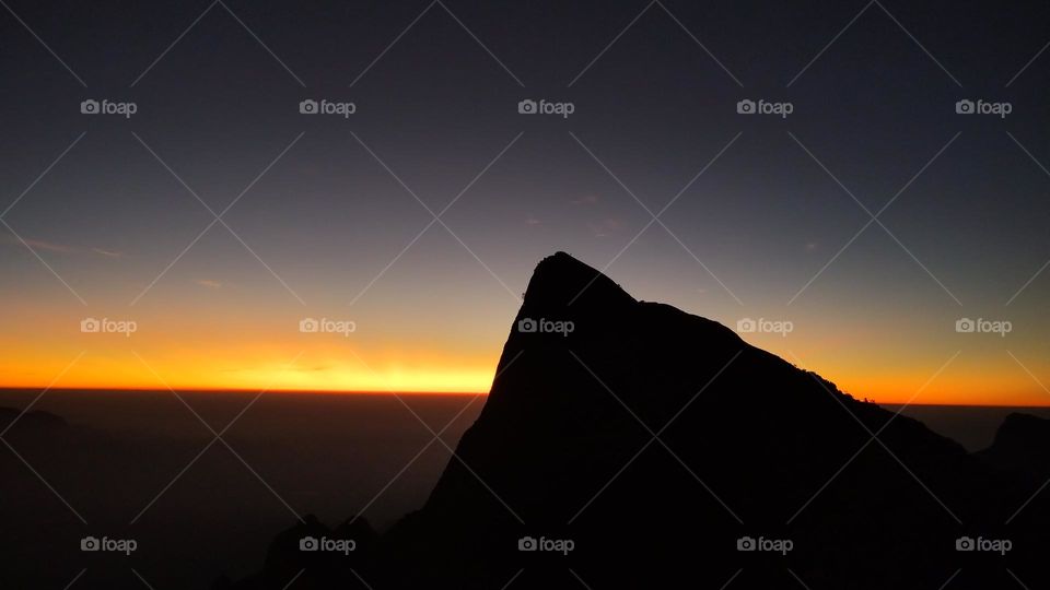 Nature does not hurry, yet everything is accomplished."