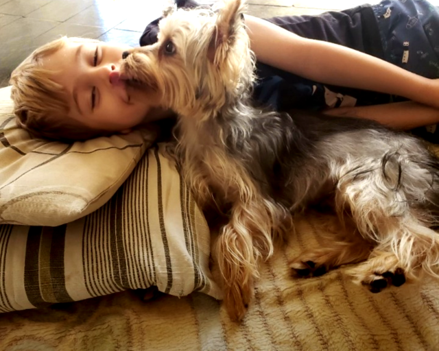 Com os cães, as crianças aprendem a ser mais afetivas e solidárias. Além disso, a companhia canina as prepara para o convívio com outras pessoas, principalmente no ambiente escolar.