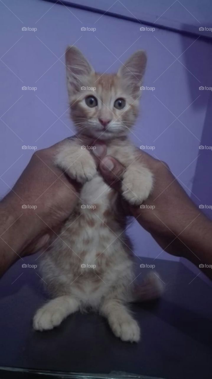 Trying To Stand Steady