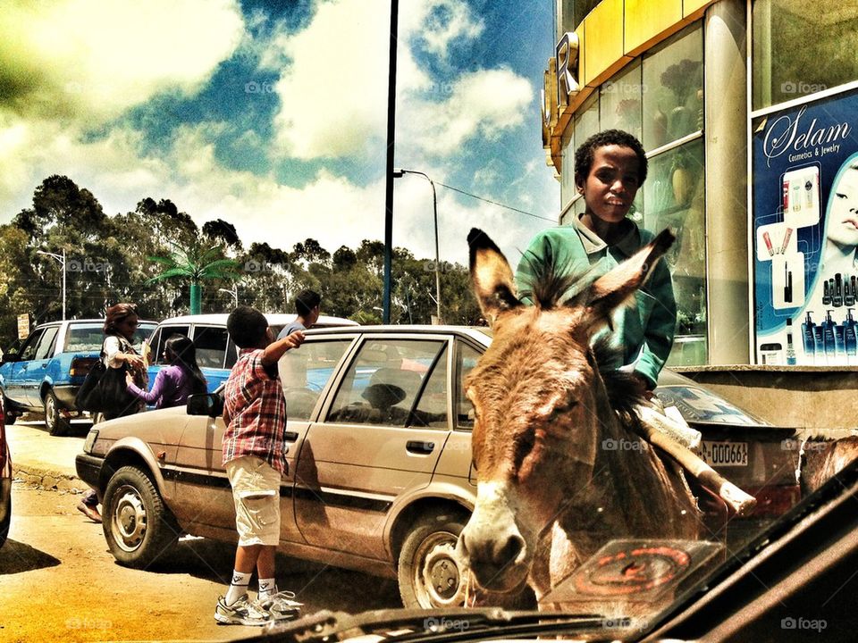 Donkey riding