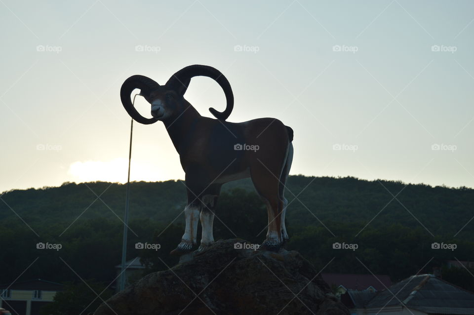 statua mountain goat